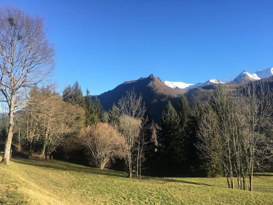Top Floor Apartment With Mountain Views In The Centre Of Argeles Gazost Екстер'єр фото